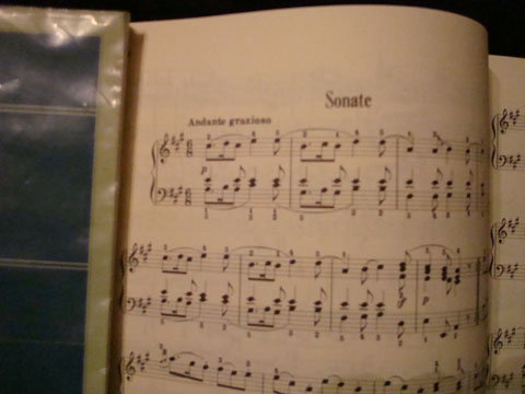Sonate k,331.jpg
