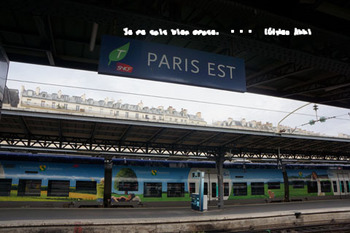 パリ東駅（８）.jpg