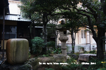 旧岩崎邸庭園（１６）.jpg