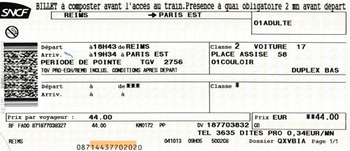 TGVチケット（for Paris EST） blog用.jpg